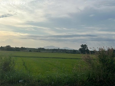 Bán 4529m2 đất mặt tiền nguyễn minh châu - tân tiến - tx lagi giá ngộp 1.39tr/m2 2