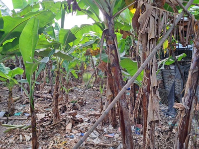 Chính chủ cần bán gấp lô đất 1/đường bình mỹ - 147m2 5 29.5 khu dân cư yên tĩnh xây dựng 2