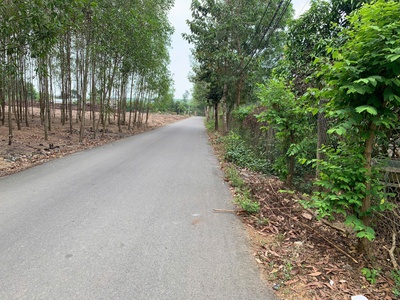 Chính chủ cần bán đất tại đất vườn khu dân cư đường xóm huế, xã trị an-  huyện vĩnh cửu- tỉnh  đồng 1