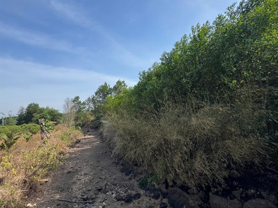 Chính chủ cần bán lô đất đẹp tại ấp 3, hòa hội, mộc xuyên bà rịa- vũng tàu 4