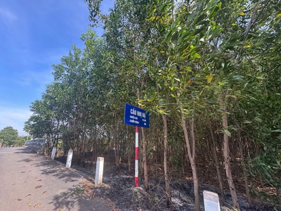 Chính chủ cần bán lô đất đẹp tại ấp 3, hòa hội, mộc xuyên bà rịa- vũng tàu 0