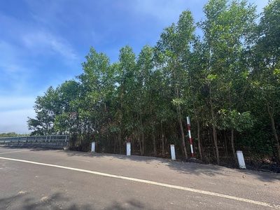 Chính chủ cần bán lô đất đẹp tại ấp 3, hòa hội, mộc xuyên bà rịa- vũng tàu 1