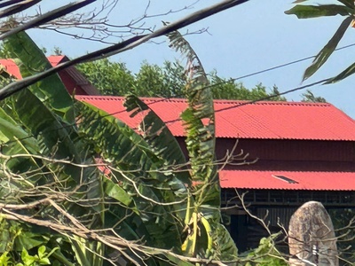 Chính chủ cần bán lô đất đẹp tại ấp 3, hòa hội, mộc xuyên bà rịa- vũng tàu 2