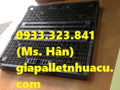 Những mẫu pallet nhựa giá rẻ tại Long Xuyên 3
