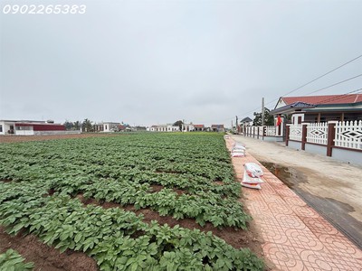 Chính chủ cần bán gấp đất nền 101m2 xã giao phong giá rẻ siêu hời 800 triệuvnđ 2