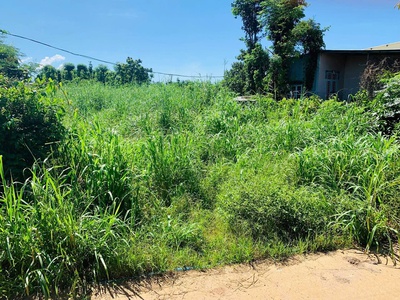 Chủ bán 1465mv chưa thổ cư cách 329 hoà hiệp 250m 1