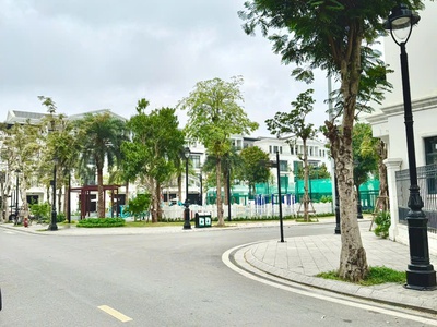 Cần tìm chủ cho căn San Hô 1 mộc giá yêu thương 1