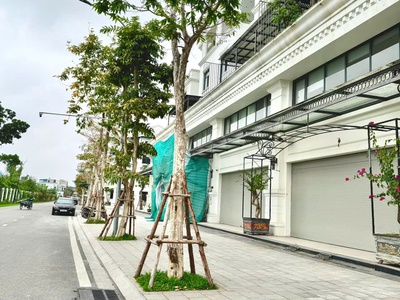 Cần tìm chủ cho căn San Hô 1 mộc giá yêu thương 2