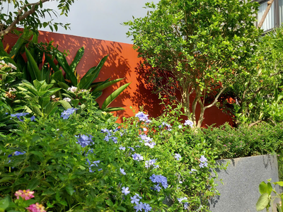 Chậu Trồng Cây Composite Vinapot: Lựa Chọn Tối Ưu Cho Không Gian Xanh 4