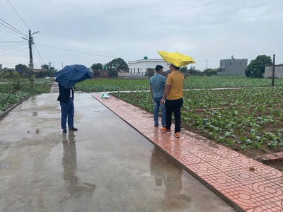 Sở hữu ngay lô đất sẵn sổ đỏ mặt biển quất lâm giá đang còn siêu rẻ ạ 2