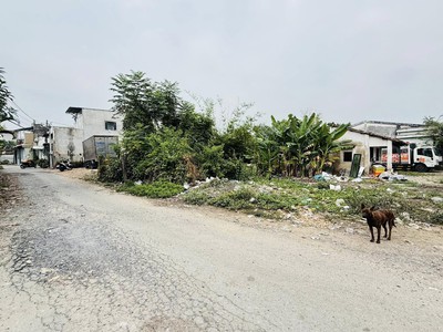 Cần bán gấp lô đất đẹp mặt tiền trung đông 10   chỉ 2,65 tỷ   diện tích 104m    giáp quận 12 0