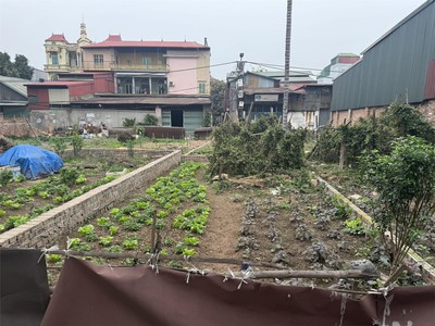 Cần tiền bán gấp lô đất 43,9m khu phố kim thiều giá chỉ 1,1 tỷ 1