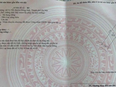 Chính chủ gửi bán 73,3m2 đất xóm thượng, uy nỗ đông anh 3