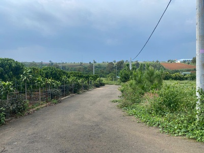 Bán đất xã lộc an, huyện bảo lâm, lâm đồng - hỗ trợ vay ngân hàng 100 1