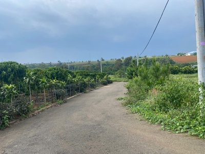 Bán đất xã lộc an, huyện bảo lâm, lâm đồng - hỗ trợ vay ngân hàng 100 2