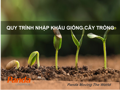 Quy trình nhập khẩu giống cây trồng 0
