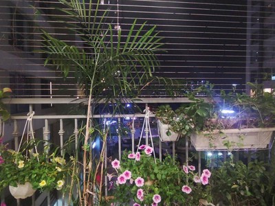 Căn hộ 82m, 2 phòng ngủ- Vinhome Gardenia Hàm Nghi. Thủ tục chuyển giao nhanh gọn. 0