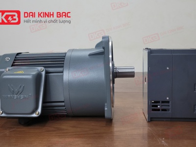 Động cơ giảm tốc mặt bích wanshsin gv18-100w-5s 0