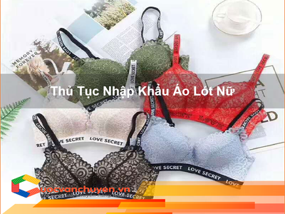 Thủ Tục Nhập Khẩu Áo Lót Nữ 0