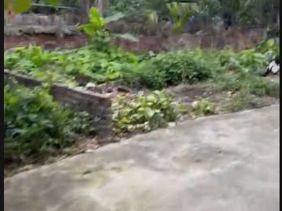 Thôn 1 vạn phúc thanh tri hà nội 2