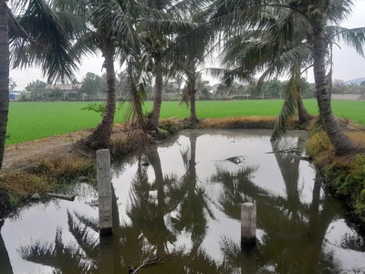 Cần  bán đất 8000 m2 đất vườn và đất 03  tại Phường Duy Tân, đường trục chính 8m. trang trai, vườn 0