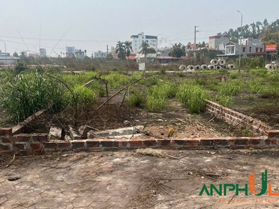 Cần bán siêu phẩm hướng Đông khu Cửa Trại, Phường Thủy Đường, TP Thủy Nguyên 0