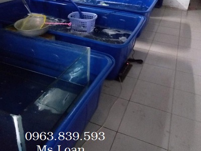 Thùng nhựa nuôi cá 1000L chữ nhật, thùng nhựa lớn nuôi cá trên sân thượng. 2