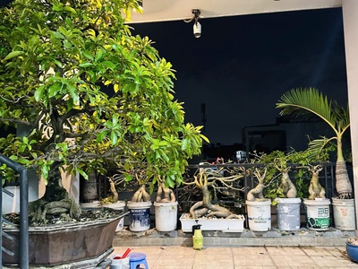 Chủ gấp bán  giảm 1 tỷ giá mới 9 tỷ   mặt tiền  83m2  4 tầng đúc btct  hoàn công đủ 6pn đặng minh 0