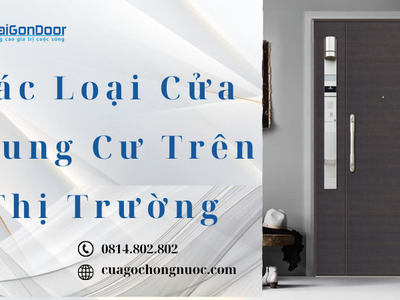 Các Loại Cửa Chung Cư Trên Thị Trường 2