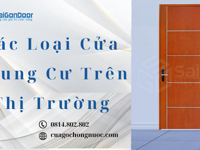 Các Loại Cửa Chung Cư Trên Thị Trường 3