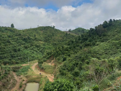 Chính chủ bán đất trồng chè   cà phê view đẹp tại đại lào   bảo lộc  3