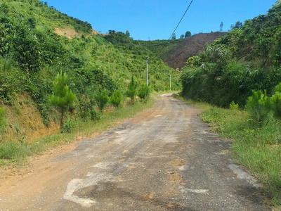 Chính chủ bán đất trồng chè   cà phê view đẹp tại đại lào   bảo lộc  1