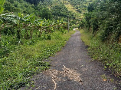 Chính chủ bán đất trồng chè   cà phê view đẹp tại đại lào   bảo lộc  0