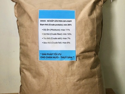 DDGS Bã bắp lên men 26 đạm 0