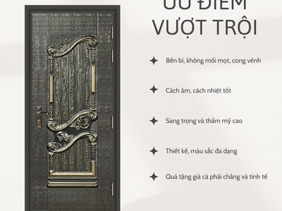 Cửa thép vân gỗ 2