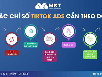 Hướng Dẫn Cách Seeding Tiktok Hiệu Quả Với MKT Tikpro 0