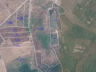 Siêu phẩm có một 0 hai tại xã ea wer, huyện buôn đôn, đắk lắk. 1