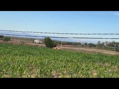 Siêu phẩm có một 0 hai tại xã ea wer, huyện buôn đôn, đắk lắk. 2