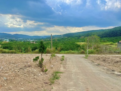Bán Đất 2 mặt tiền đường đẹp thế này chỉ 620 triệu   80m  thổ cư view đồi thông 2