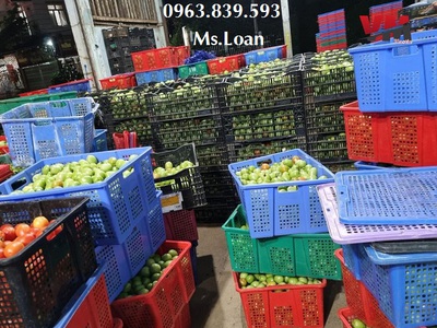 Rổ nhựa công nghiệp, rổ nhựa có bánh xe, rổ đựng thành phẩm giá cực rẻ 9