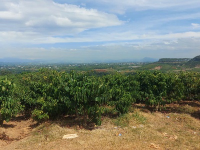 Đất đẹp - giá tốt - vị trí đắc địa tại thôn tân phú, xã ninh gia, đức trọng, lâm đồng 0