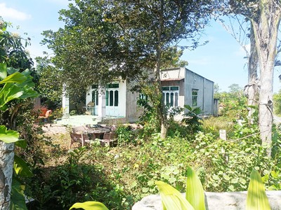 Bán nhà vườn đường 825 - 1128m2 - 14x60 nở hậu 30m - 45m2 thổ cư - xã phú mỹ hưng - củ chi 0
