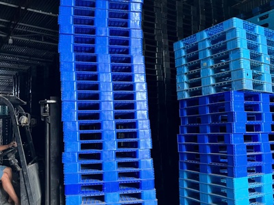 Phân phối pallet nhựa tại Nha Trang giá rẻ cạnh tranh 0