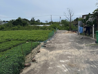 Chủ kẹt tiền cần bán gấp 9 lô liền lề giá 11,5ty thương lượng 0