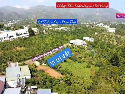 Chỉ từ 525tr đất sổ riêng, mặt tiền nhựa, thổ cư, view đẹp khí hậu mát mẻ ngang đà lạt tại lộc 0