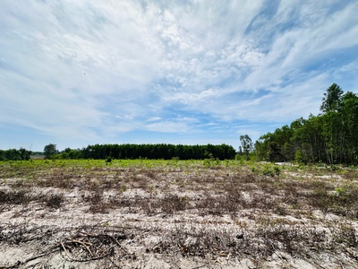 Bán 4000m2 đất mặt tiền 719b - tân bình - tx lagi chỉ 66 triệu/m ngang 0