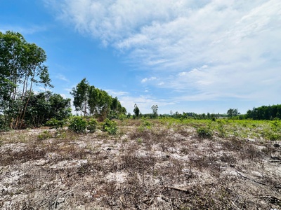 Bán 4000m2 đất mặt tiền 719b - tân bình - tx lagi chỉ 66 triệu/m ngang 2