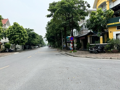 Biệt thự nhà vườn Việt Hưng: Lô góc thoáng đẹp, 145,1m2, 4 tầng - An cư lý tưởng, kinh doanh 1