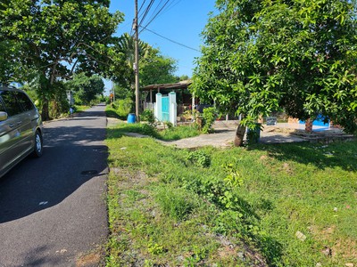 Bán đất thổ cư tại Củ Chi Lý tưởng để đầu tư phát triển 1