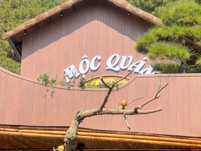 Hạng mục trần gỗ nhựa, mã WPO-10016CD màu golden teak. 3
